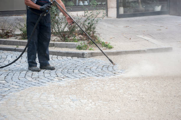 Pre-Holiday Cleaning in Mineola, NY